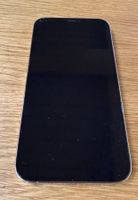 iPhone 12 Pro Max 256 GB - Modell A2411
