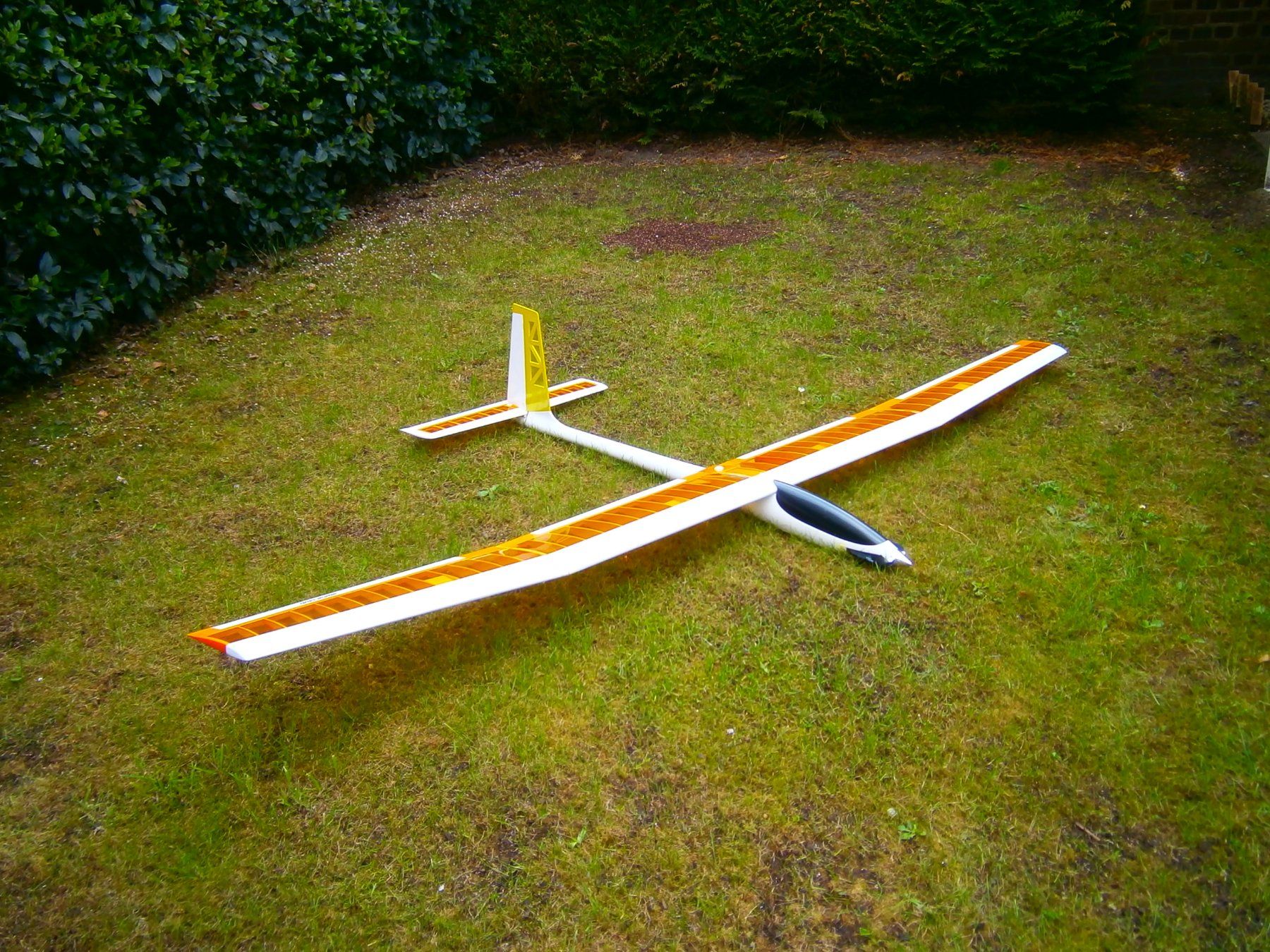 Multiplex Modellismo RC: Elektrosegler Multiplex Alpha  -  Absturzopfer – Difettoso da Fribourg venduto da vcos1700