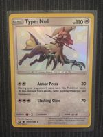 Pokemon Type Null Shiny Hidden Fates