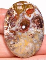 Cabochon L-2026 – Palmenwurzel Achat 35X25X6mm - 39 Ct.