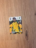 Panini Fussball WM Karten 2026