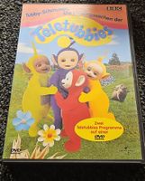 Teletubbies DVD (17100)