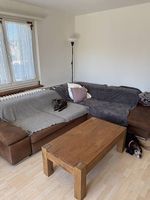Gratis abzugeben 