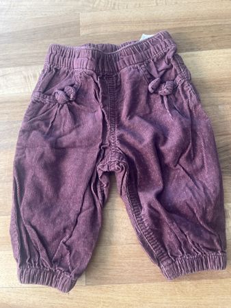 H&M Cordhose Gr 74 violett