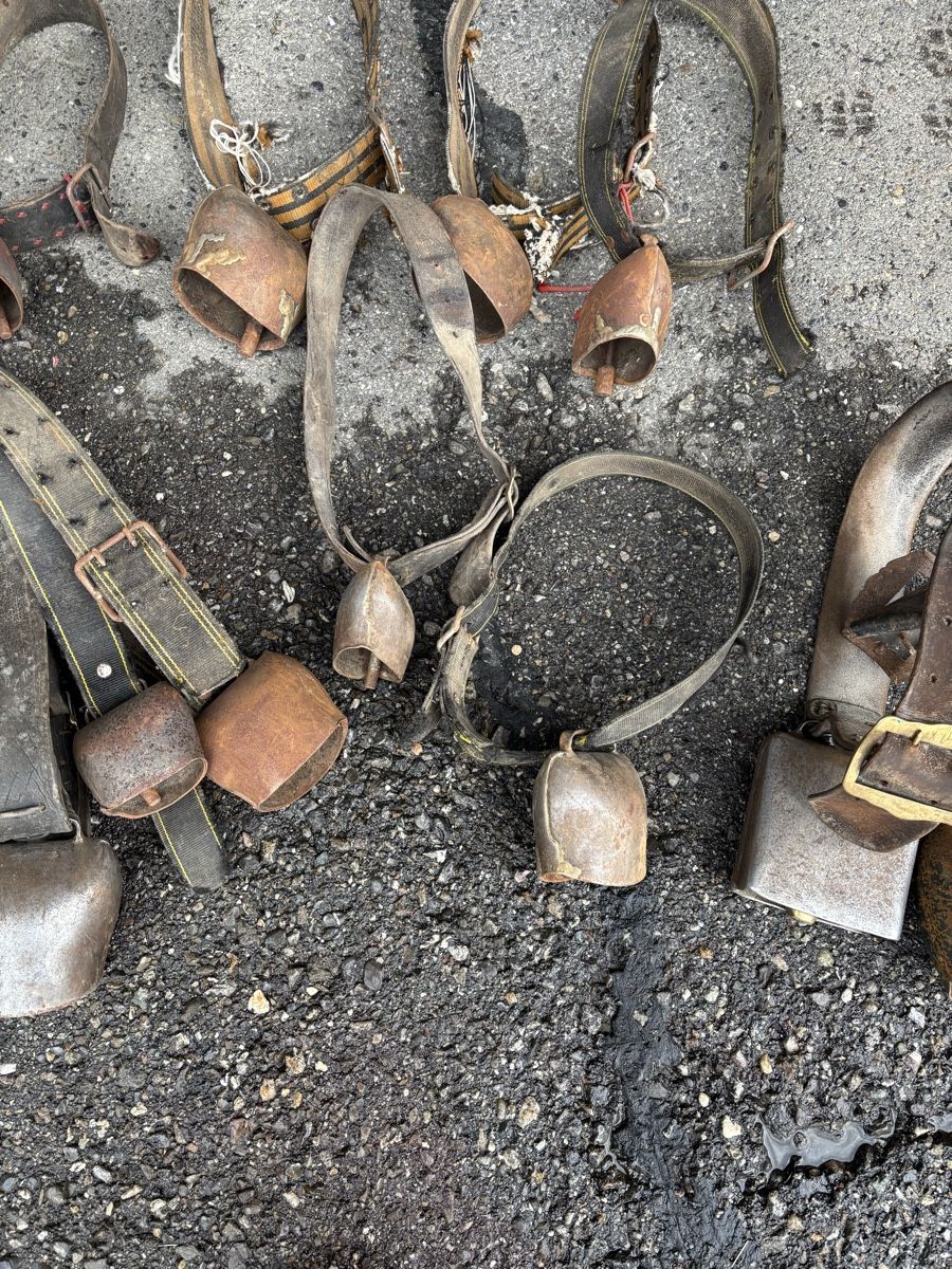 Campanacci mucche: 20 Stk Rindertreicheli – Difettoso da Schangnau venduto da Roseggli82 6