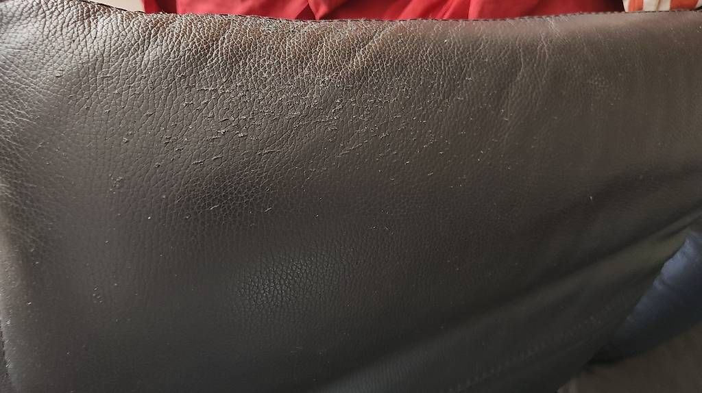 Sofas: 2 Sofas aus Leder – D'occasion à Dielsdorf par LukeyDukey 3