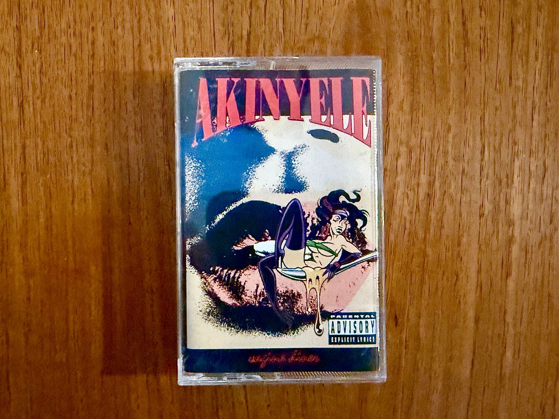 Musicassette: Akinyele - Vagina Diner / US 1993 MC – Usato da Delémont venduto da cpop