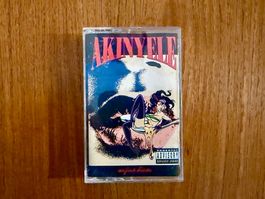 Akinyele - Vagina Diner / US 1993 MC