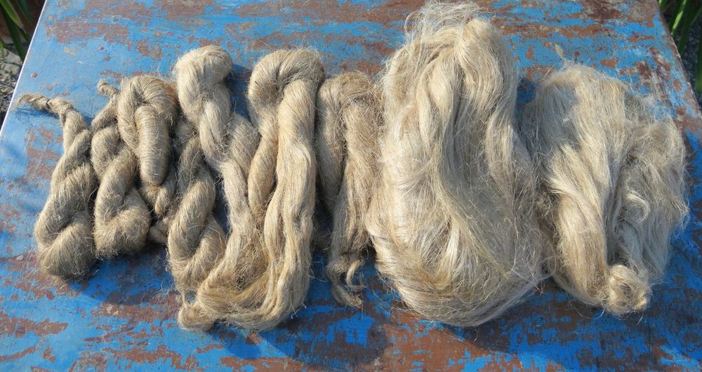 Flachs Zum Spinnen