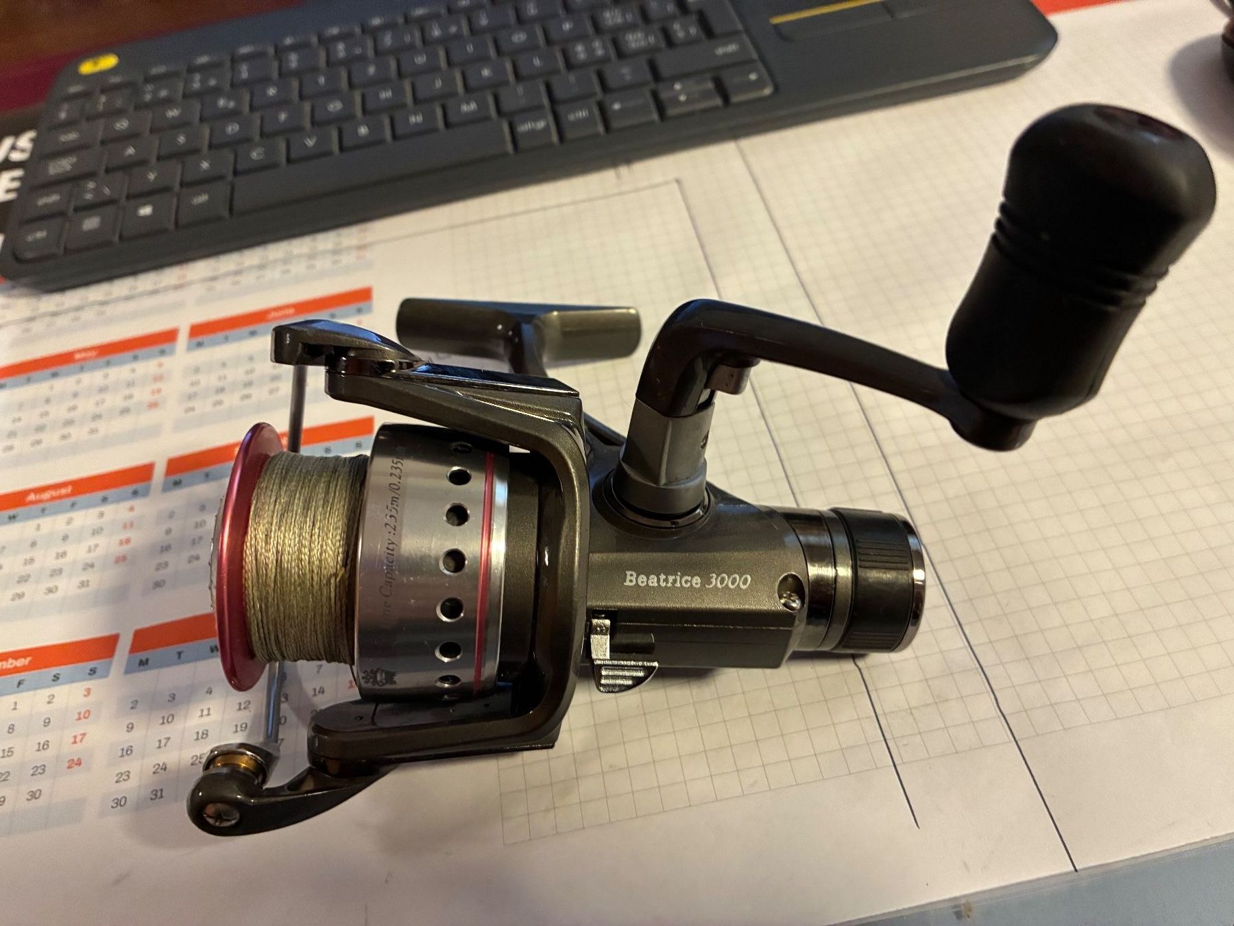 Tamburi & Mulinelli: Beatrice 3000 Angelrolle – Usato da Pfäffikon ZH venduto da mespe01 1