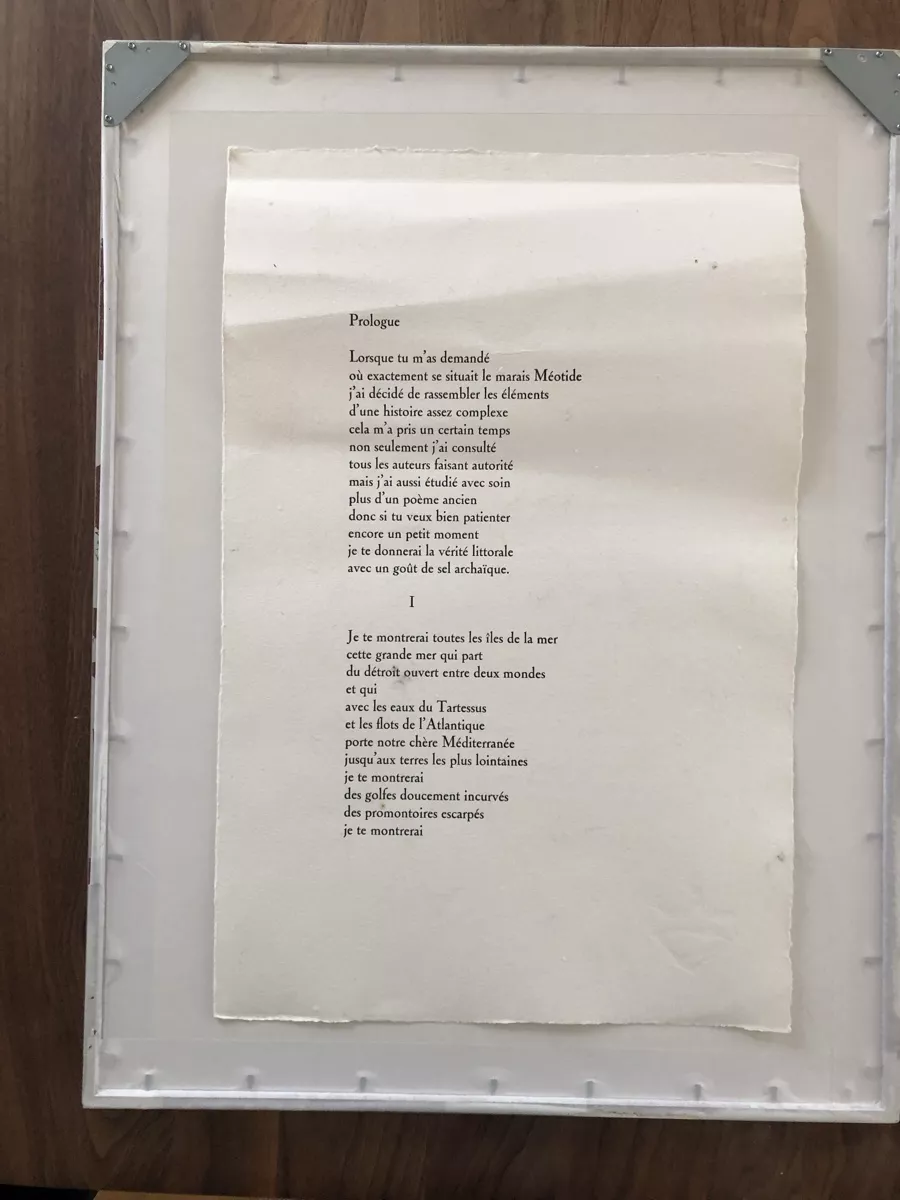 Grafiken & Lithographien: Lithographie – Neu (gemäss Beschreibung) aus Schmitten FR von Moscasto 4