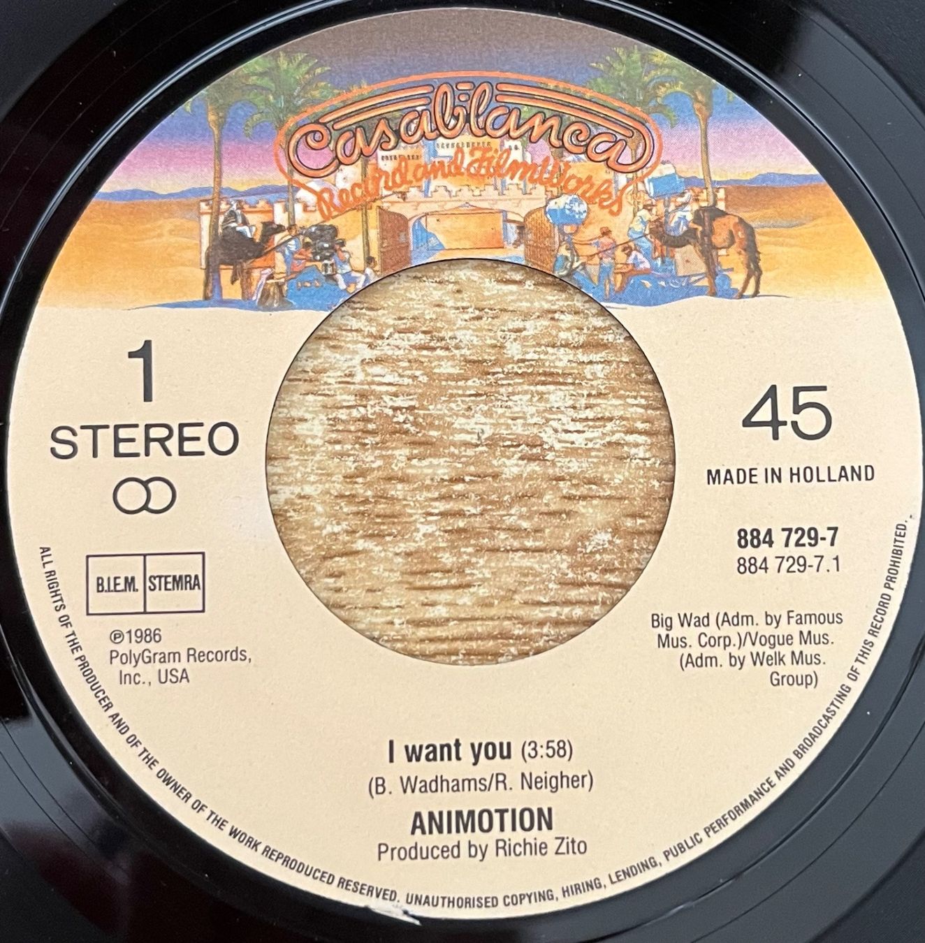 Schallplatten: ANIMOTION - I WANT YOU – Gebraucht aus Bussigny von vinyl-pas-cher 2