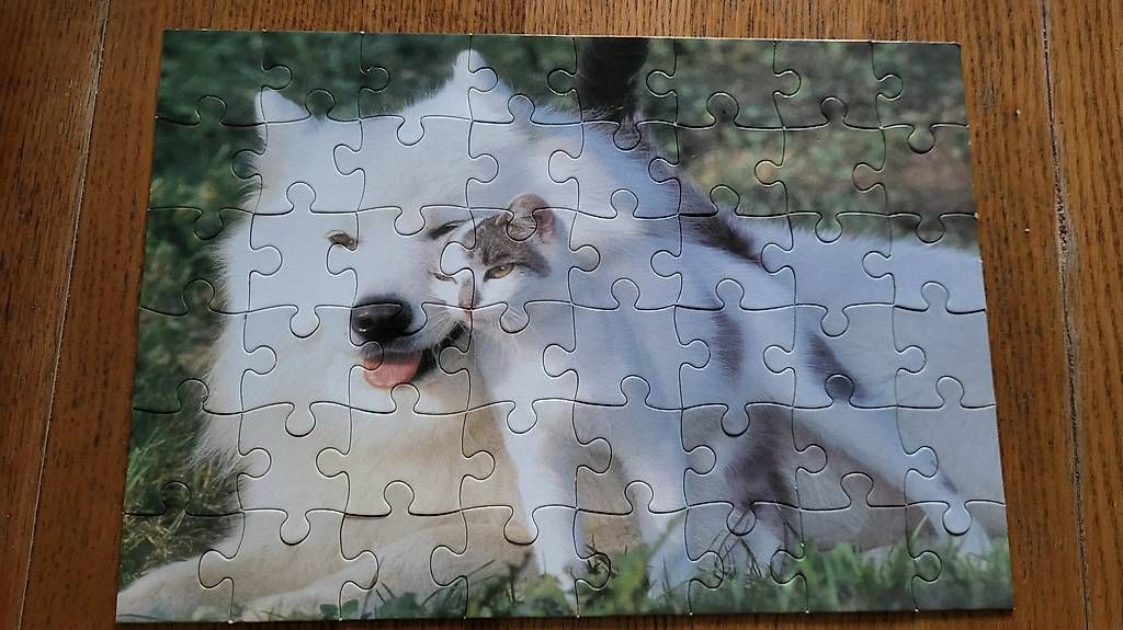 Puzzles: Herziges Puzzle Hund/Katze – Gebraucht aus Rorschacherberg von Maku007 1