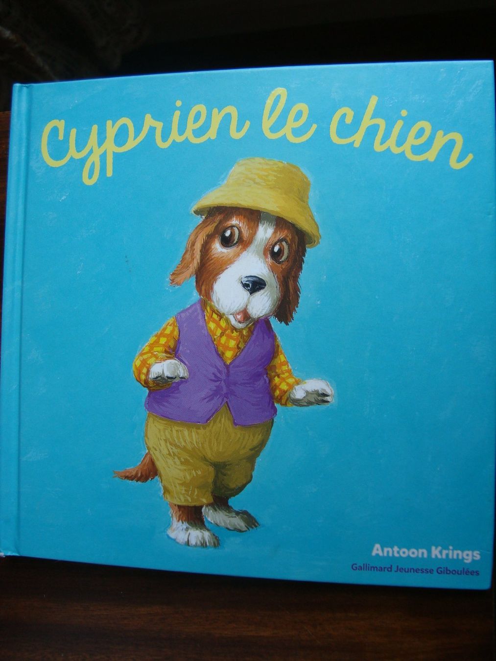 Bücher: Cyprien le chien – Neu (gemäss Beschreibung) aus Fribourg von ruswil007