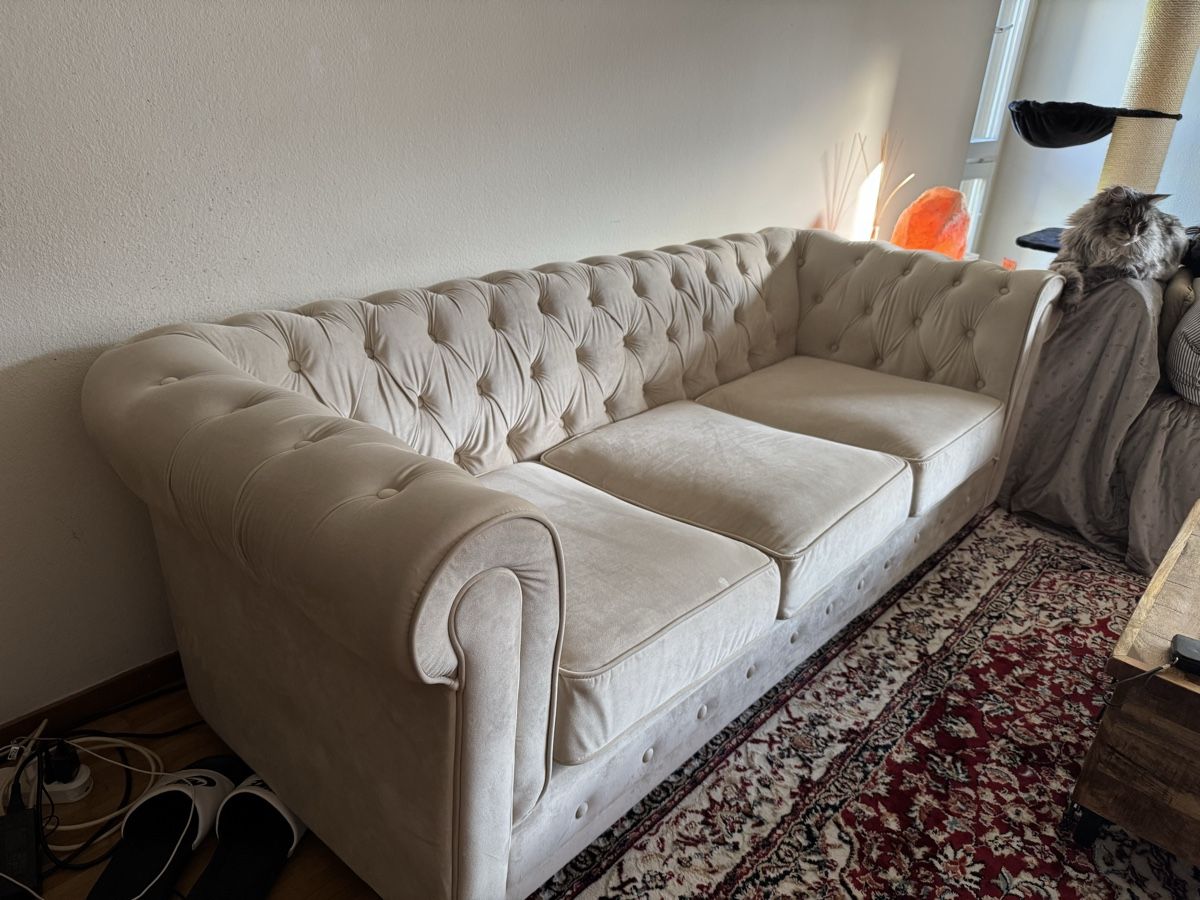 Sofas: Chesterfield Sofa style – Gebraucht aus Dielsdorf von Kompressorhund
