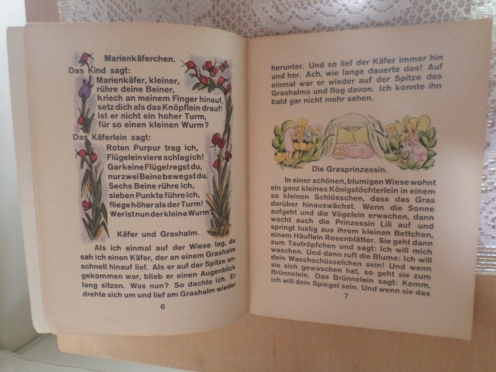 Libri: In die weite Welt – Usato da Liestal venduto da man_7bt6 3