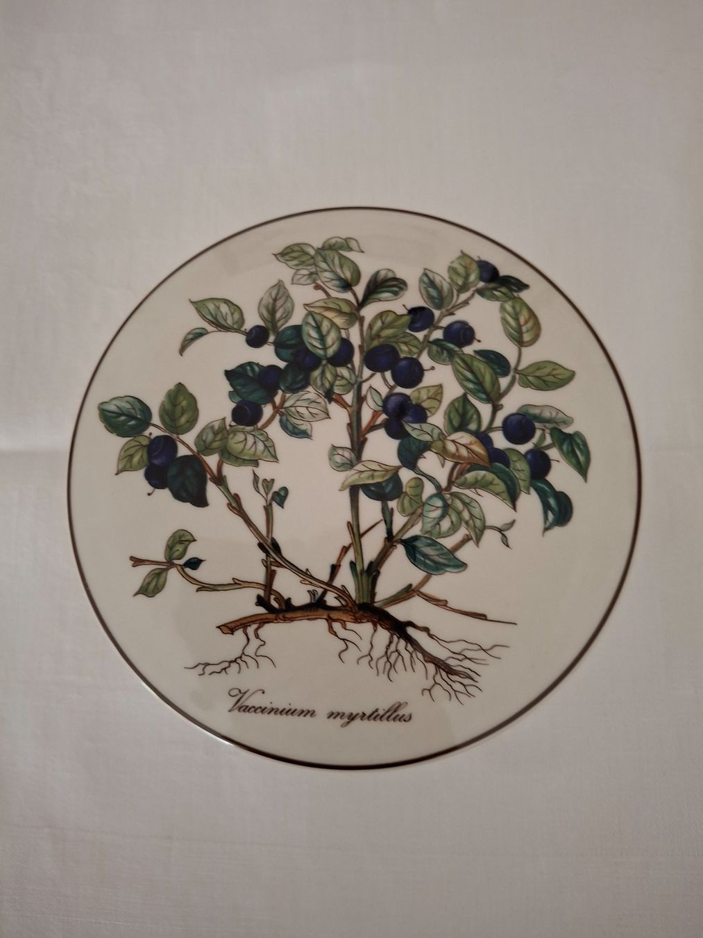 Villeroy & Boch Tutte le decorazioni: Villeroy & Boch Botanic Dose ,Top Zustand – Usato da St. Gallen venduto da ram_jb2y