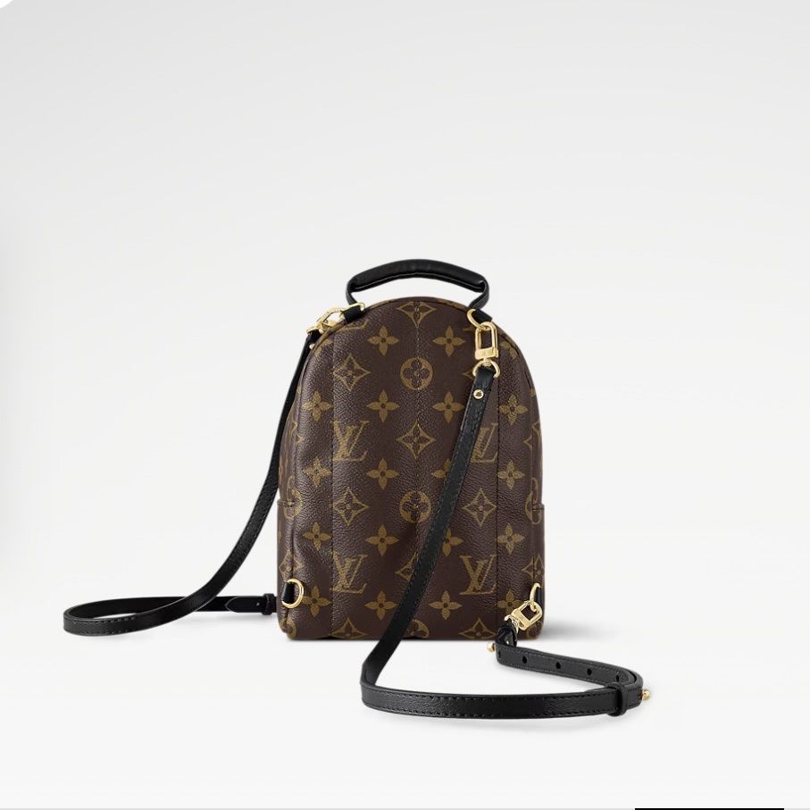 Louis Vuitton Rucksäcke: Louis Vuitton Palm Springs Mini Rucksack – Gebraucht aus Wallisellen von maksim8880 1