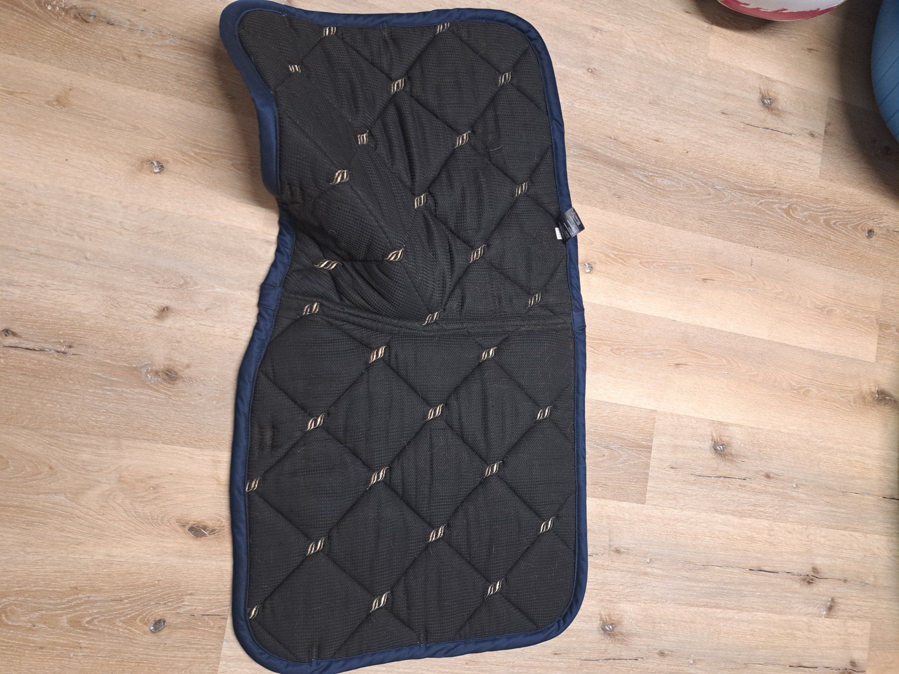 Selle & Accessori: Back on Track Schabracke – Usato da Aarberg venduto da pointball 1