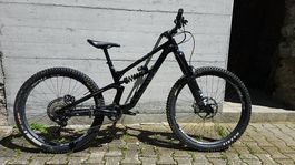 Canyon Torque CF8