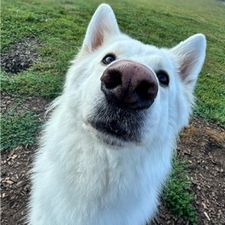 Profile image of Sabrina310316