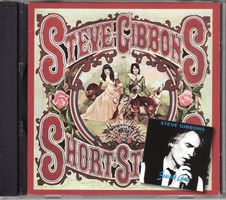 Steve Gibbons ‎– Short Stories / Stained Glass