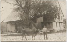 Landwirtschaft/Bauernfamilie mit Kuh 1920 SG/TG?