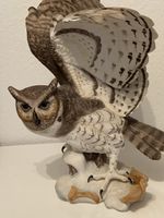 Skulptur Wunderbare Eule 🦉