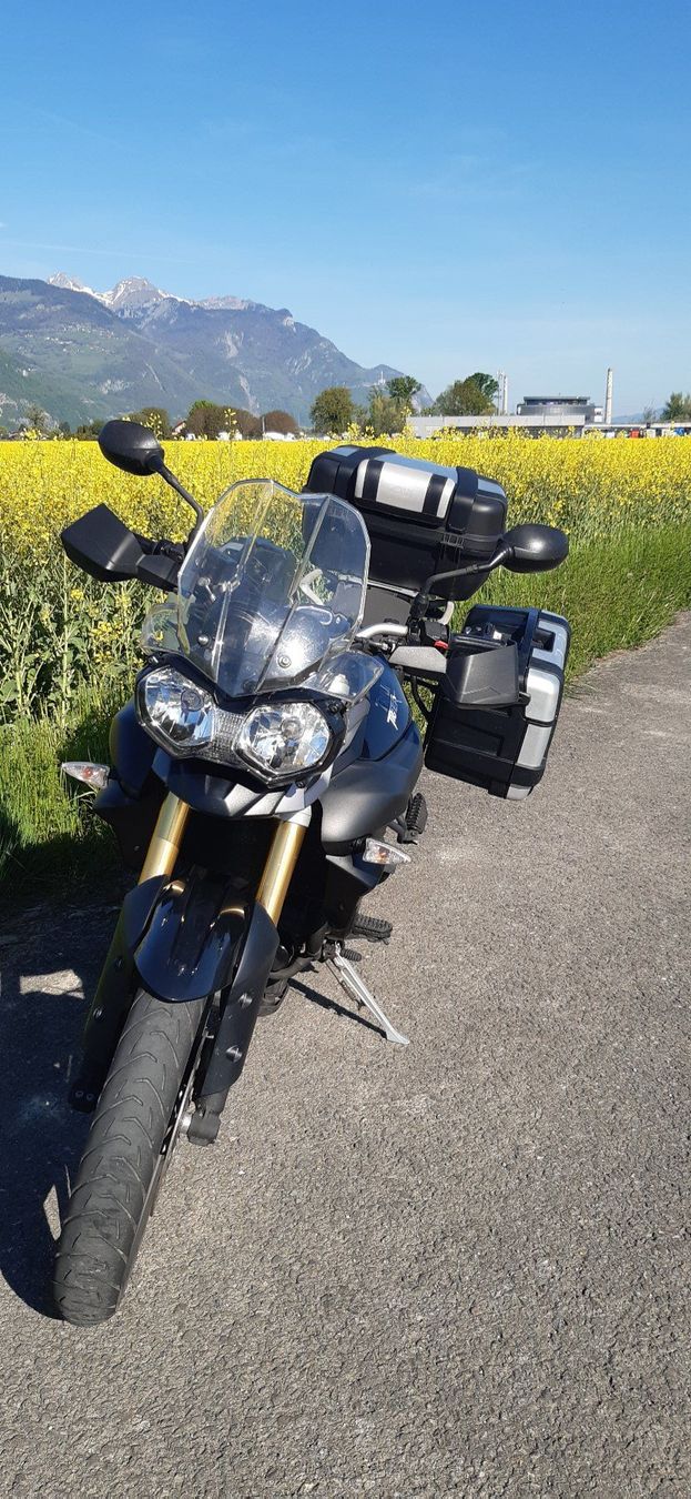 Triumph Touring: Triumph Tiger 800 ABS – Usato da Collombey venduto da sophie2008 6