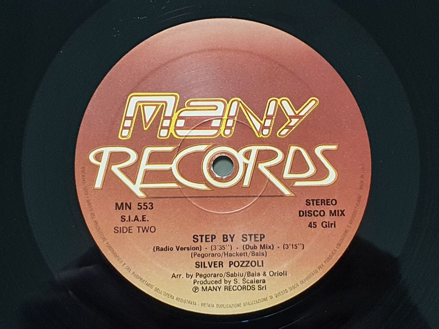 Schallplatten: Silver Pozzoli - Step By Step (Maxi Single) Extended Version – Gebraucht aus Aegerten von taxidermo 4