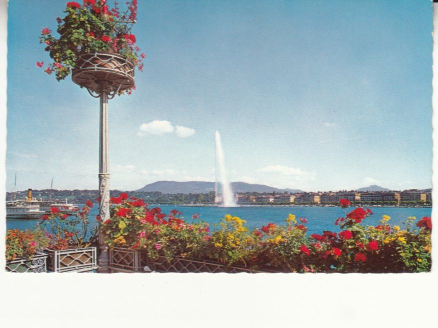 Cartoline postali: Genève ca. 1950 – Usato da Bürglen TG venduto da StampGraf