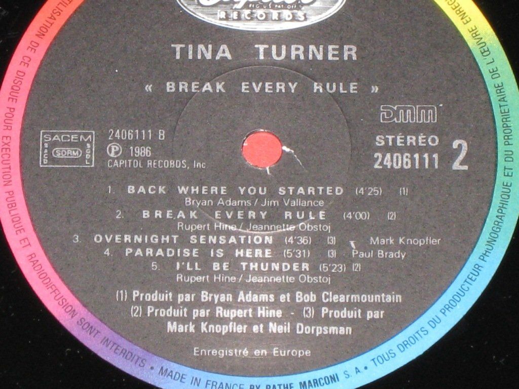 Dischi in vinile: LP - TINA TURNER- BREAK EVERY RULE – Usato da Steckborn venduto da Quo7 2