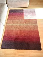 Tapis salon 180x120  poils courts  bon état