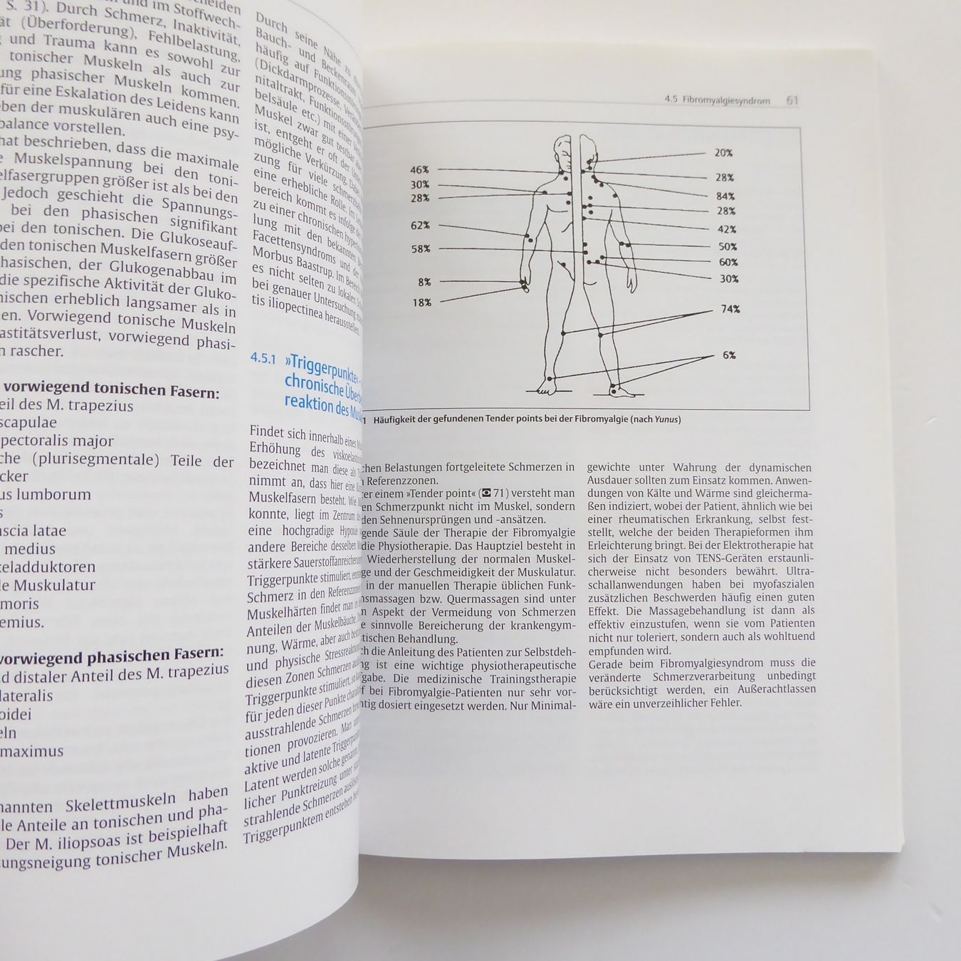 Libri: Technik der Massage - Thieme – Usato da Basel venduto da Kunterbunt12 4