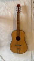 Gitarre für Bastler