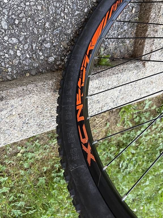 Velos: Mountain bike Tahoe – Gebraucht aus Pazzallo von cas_57rl 3