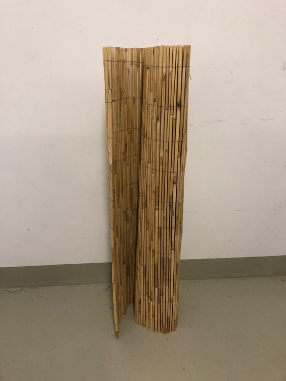 Schilfrohr (Bambus) Sichtschutz/Schilfrohrmatte 100cm x150cm Kaufen