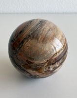 Kugel aus Versteinertem Holz