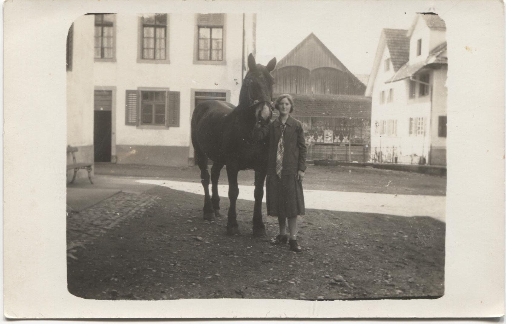 Cartoline postali: Landwirtschaft 1920 mit Pferd ZH/AG? – Usato da Rothrist venduto da Clanx