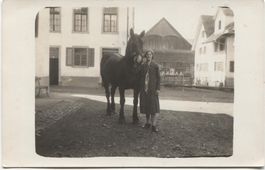 Landwirtschaft 1920 mit Pferd ZH/AG?