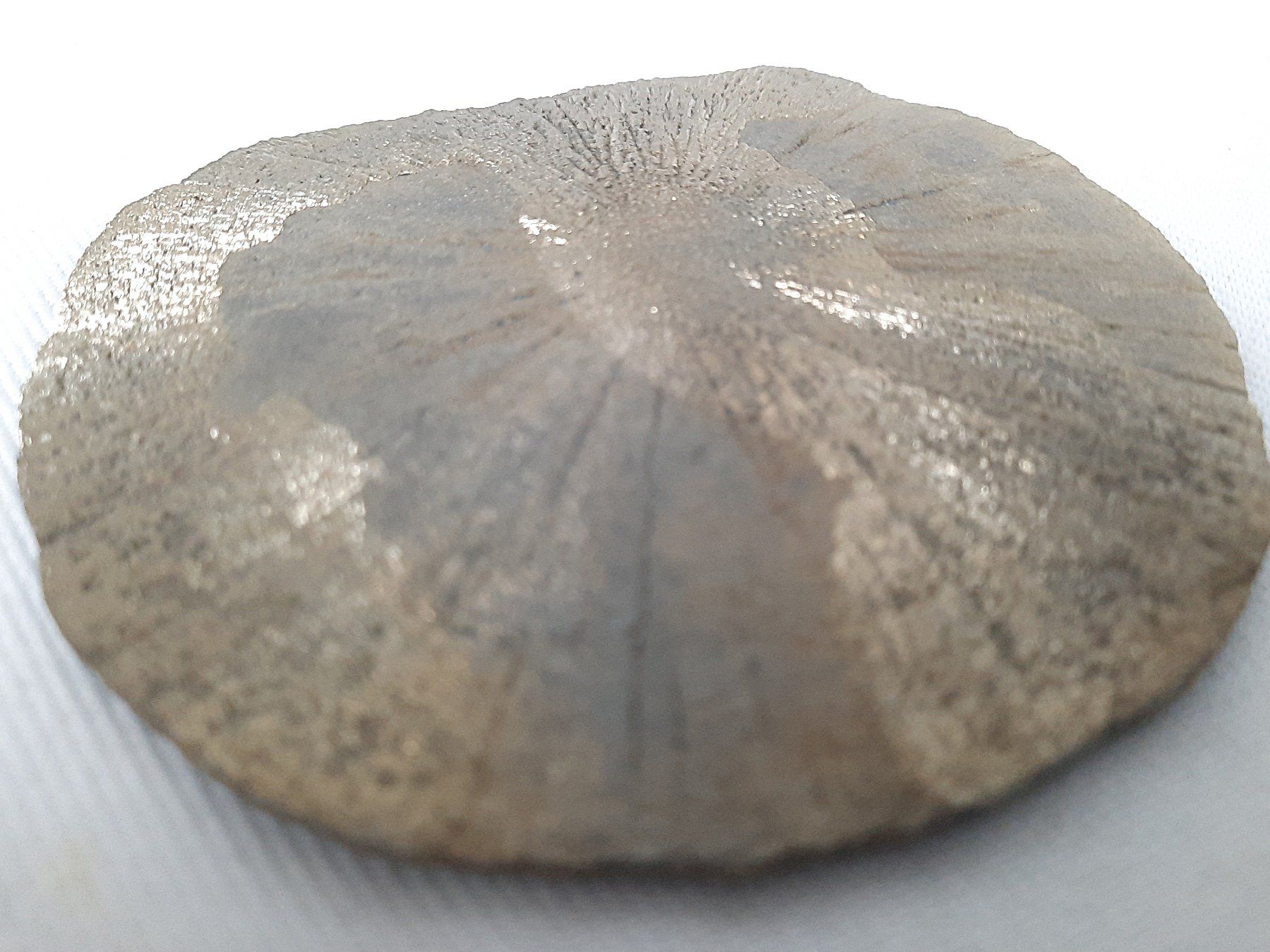 Mineralien & Heilsteine: Pyritsonne – Gebraucht aus Beinwil am See von Restwert_Beinwil 2