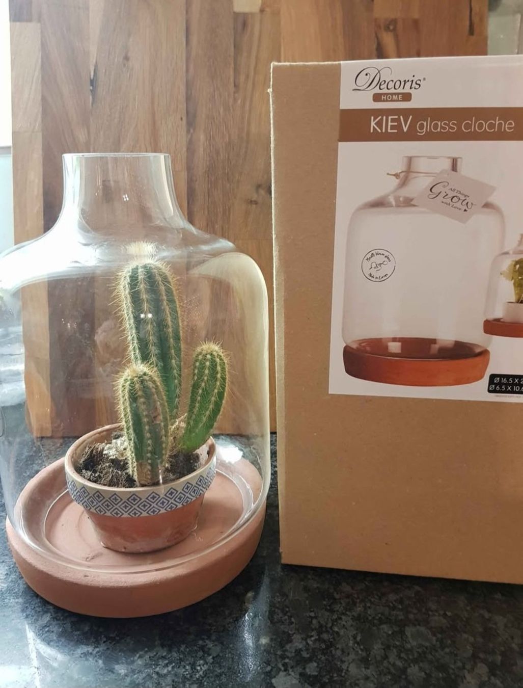 Tutte le decorazioni: Glas cloche – Usato da Itingen venduto da bea_bxv5