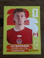 Panini WM 2026 CAN 14 Sticker  🇨🇦⚽️