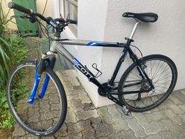 Herren Velo Scott