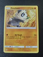 Pancham 65/131 Pokémon SM Forbidden Light 2018 (EN) ab 1.-