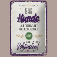 🔥 SCHÖNSTER HUND DER WELT Blechschild 💜 12x18cm OVP🔥