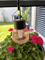 4 neue Solarleuchten aus Kupfergitter für den Garten