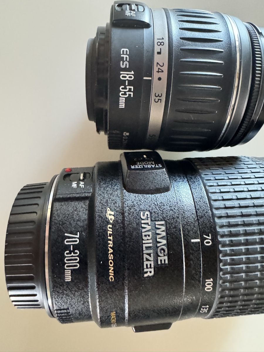 Canon Fotocamera: Canon EOS 1000D Digital Camera Kit with Lenses and Bag – Usato da Seedorf BE venduto da 4m1 1