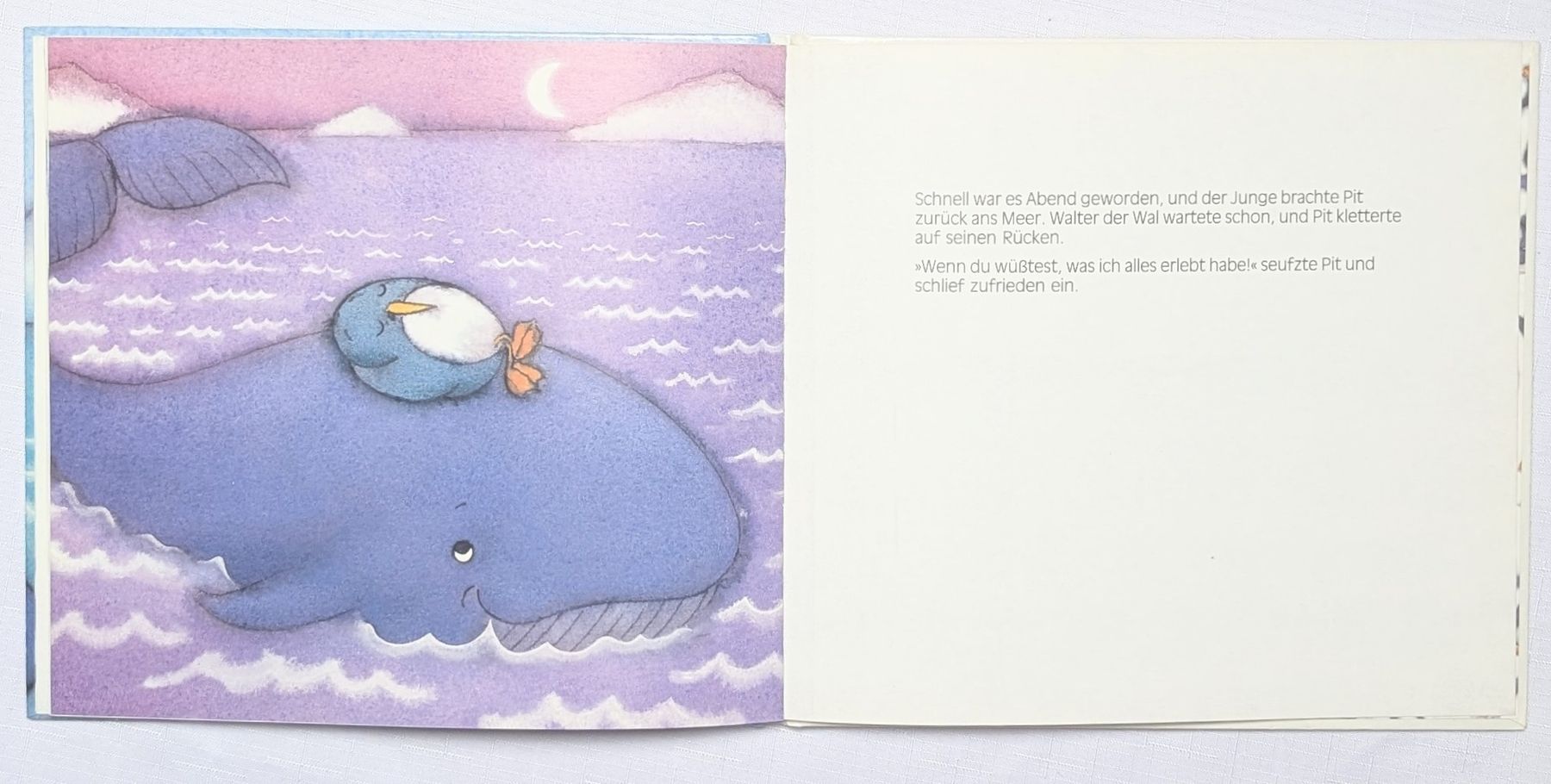 Bücher: Pits neue Freunde - Marcus Pfister - Pingu Pit – Neu (gemäss Beschreibung) aus Wängi von ABIZONE-86 4
