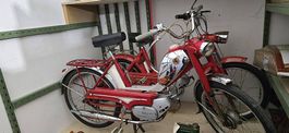 Schönes Original Pony Junior 503 A